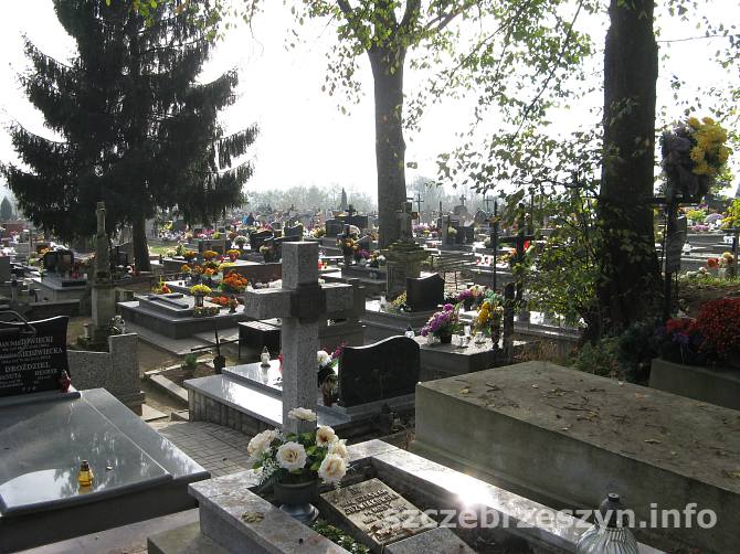 cmentarz_2014