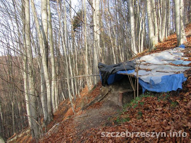 czubatka_2015_02