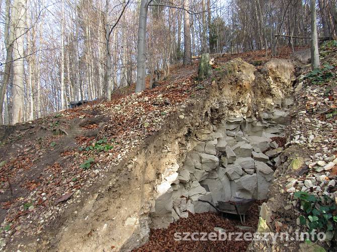 czubatka_2015_06